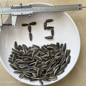 Striped Sunflower Seeds Raw in Shell Confectionery thumbnail-1