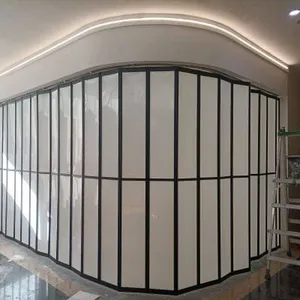 Industrial-Grade Aluminum Folding Doors: Maximum Security for Modern Storefronts thumbnail-2