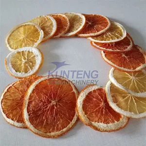 Commercial Dried Apple Chip Drying Machine Mango Pulp Dryer Machine Kiwi Fruit Dryers thumbnail-3