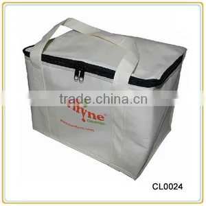 Cheap Picnic Cooler Bag For Frozen Food thumbnail-5