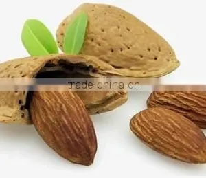 High Quality Bitter Almond Oil thumbnail-1