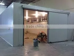 Deep Freezer Container Walk in Cold Room thumbnail-2