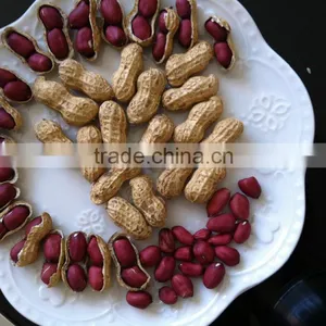 Peanut thumbnail-2