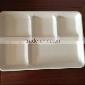 5 Compartment Tray 12.5"x8.5" thumbnail-1