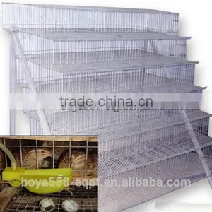 Galvanized Quail Cage With Automatic System thumbnail-2