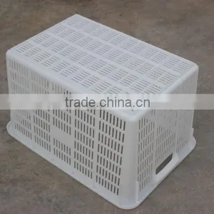 Plastic 790mm Basket thumbnail-1