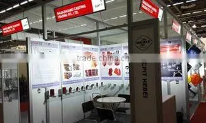 Shijiazhuang Casiting Trading Co., Ltd. company overview - view 3 thumbnail