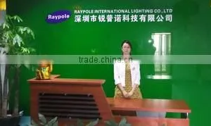 Shenzhen Raypole Technology Co., Ltd. company overview - view 2 thumbnail