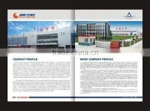 Tibet New Summit Motor Co., Ltd. company overview - view 3 thumbnail
