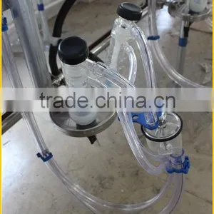Milking Sheep Parlor in Dairy Farm thumbnail-3
