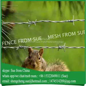 China Factory Hot Sale Galvanised Barbed Wire in Stock thumbnail-1