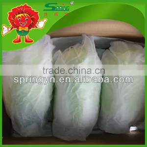 Chinese Cabbage Fresh Green-yellow Cabbage thumbnail-4