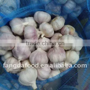 Chinese Fresh Normal White Garlic(10kg/20kg Carton) thumbnail-1