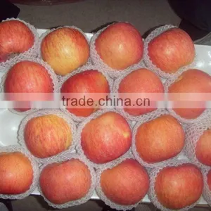 Red Apple thumbnail-1