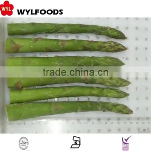 IQF Best Price Frozen Green Asparagus Cut and Tips 2015 thumbnail-5