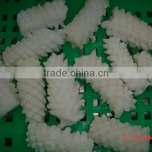 Squid Flower thumbnail-1