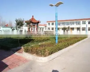 Laiwu Yuyuan Foods Co., Ltd. company overview - view 2 thumbnail