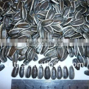 Chinese Sunflower Seeds 5135 thumbnail-1