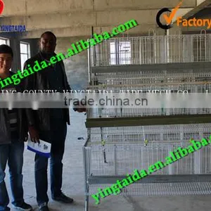 Eggs Checkin Cage thumbnail-2