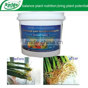 Plant Growth Stimulant Hydroponics Fertilizer thumbnail-1