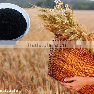 Wholesale Seaweed Extract Flake / Powder, Sargassum Seaweed Organic Fertilizer thumbnail-2