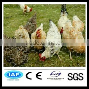 Animal Cage Fence Hexagonal Wire Mesh thumbnail-1