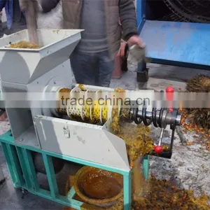 Palm Kernel Expeller Oil Press Machine thumbnail-3