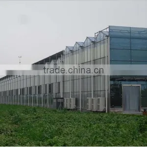 China Used Greenhouse Frames for Sale thumbnail-1