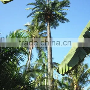Artificial 20m Communication Station Tree Microwave Communication Tower Shape As True Tree thumbnail-3