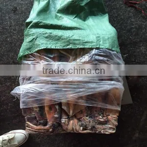 Frozen Argentina Squid Illex Squid Jigger Squid Whole Round thumbnail-1