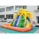 Residential Backyard Inflatable Water Slide Curved Brazil , Party Inflatable Rentals thumbnail-1