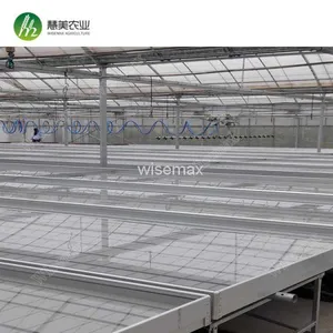 Rolling Wire Greenhouse Bench Grow Tray Ebb and Flow Hydroponic Systems thumbnail-2