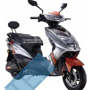Two-wheeled Motorcycle DX11 thumbnail-1