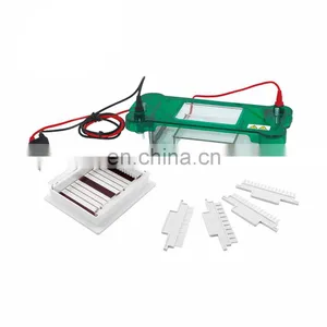 DW-SPBT Digital Horizontal Gel Electrophoresis System Machine thumbnail-1