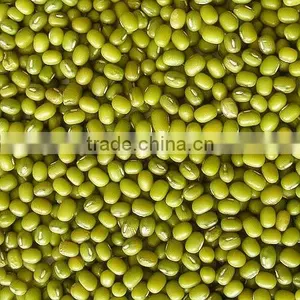 NOP Organic Mung Bean thumbnail-1