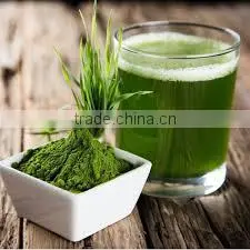 Superior Quality Wheat Grass Powder For Sales thumbnail-1