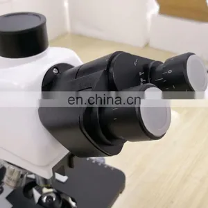 MIIT WF10*/18 Binocular Metallurgical Microscope thumbnail-7
