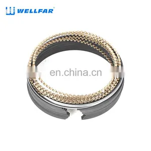 2M5097 Wellfar 2003-08 348cu Engine Piston Rings 99.5mm For Chrysler, Desoto, Dodge & Plymouth thumbnail-5