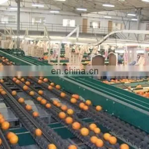 Industrial Cold Press Juicer/apple Juice Belt Press thumbnail-4