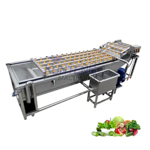 Automatic Melon Raisins Potatoes Bitter Leaf Vegetable Squash Peanut Washing Drying Machine Fruit Vegetable Cleaning Machine EPC thumbnail-1