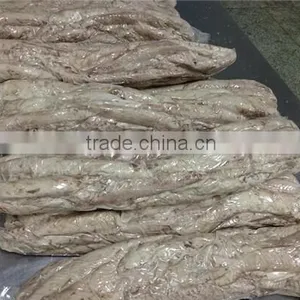 Frozen Precooked Vacuum Packing Bonito Lion and Auxis Thazard thumbnail-4