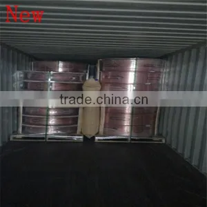Securing Loads Air Bag Cargo for Intermodal Containers thumbnail-1