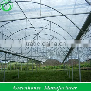 Good Price Greenhouses Growing Vegetable thumbnail-1