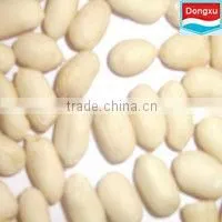 Chinese Blanched Peanuts thumbnail-1