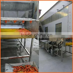 Zhengzhou Thrive Brand Vegetable Carrot Process Machine/potato Washing Machine Quality Choice thumbnail-3