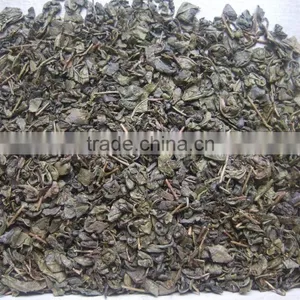 Export Tea From Professional Factory in China Gunpowder Green Tea 9175 thumbnail-1