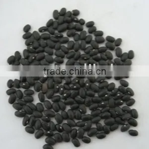 Black Beans thumbnail-1