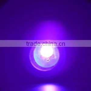 Profesional UV Flashlight With High Power 10W LED 390nm Wavelenght With Variable Focus for Urine Detection / Inspection thumbnail-4