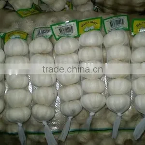 Chinese Garlic Price thumbnail-1
