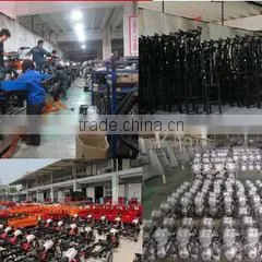 Chongqing Huajun Motor Tricycle Sales Co., Ltd. company overview - view 3 thumbnail